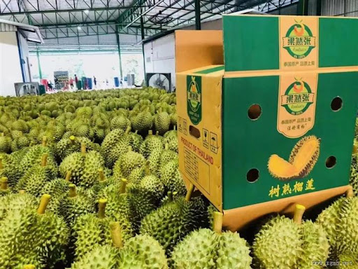 有机农业减少小麦病虫害的可行性研究